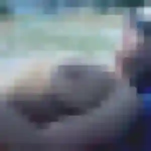 rencontre cougar à Cosne-Cours-sur-Loire : photo de Solange, 52 ans - accès libre