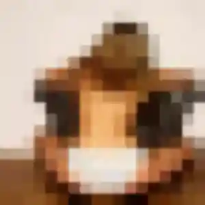 Photo de Simone à Couëtron-au-Perche (46 ans) - rencontre cougar discret