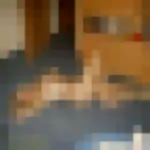 Stephanie (55 ans) à Coulon cherche une rencontre rapidement