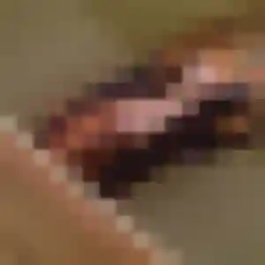 Valerie, 45 ans, dispo pour rencontre cougar à Courcelles-sur-Nied