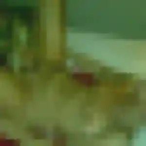 rencontre cougar à Cours-les-Barres : photo de Claudine, 36 ans - accès libre