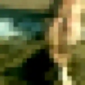 Photo de Brigitte à Coussac-Bonneval (37 ans) - rencontre cougar discret