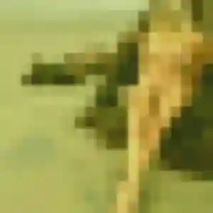 Therese, femme de 51 ans veut rencontre cougar à Crécy-en-Ponthieu