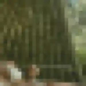 Regine, femme de 39 ans veut rencontre cougar à Cresserons