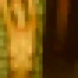 Paulette, 42 ans, veut un rencontre cougar à Crèvecœur-le-Grand