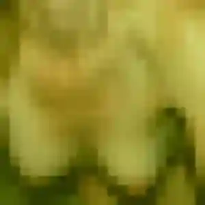 Photo de Renee à Crozon (55 ans) - rencontre cougar discret