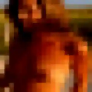 Photo sexy de Veronique, 45 ans à Crozon - rencontre sans lendemain
