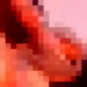 Charmante Elisabeth, 35 ans à Cuts - voir sa photo