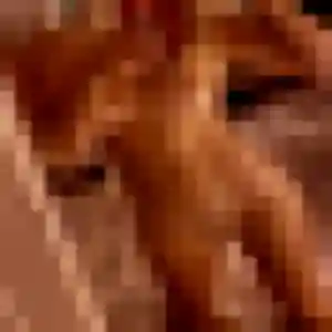 Solange, 35 ans, disponible à Damgan pour une rencontre coquine