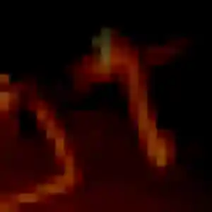 Photo perso de Severine, 39 ans à Damigny - rencontre coquine