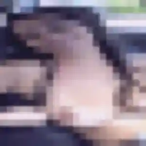 Huguette, femme de 48 ans cherche rencontre cougar à Dampmart