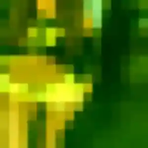 Photo exclusive de Odile, 48 ans à Daoulas - plan discret