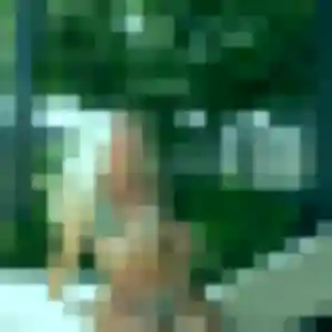 Photo privée de Josiane, 55 ans à Deûlémont - rencontre coquine