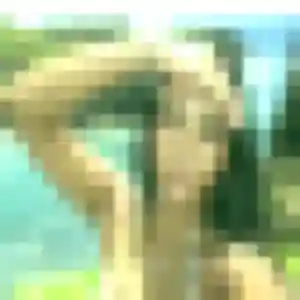 Photo de Sandrine à Dhuys et Morin-en-Brie (44 ans) - rencontre cougar anonyme