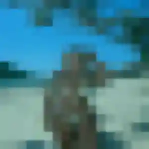 Chantal (51 ans) à Distré cherche une rencontre ce soir
