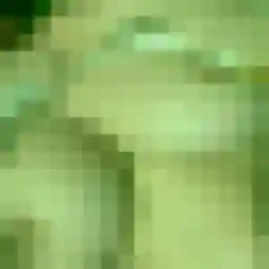 Therese, femme de 49 ans cherche rencontre cougar à Donzenac