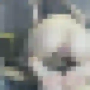 Photo exclusive de Catherine, 48 ans à Douarnenez - plan discret