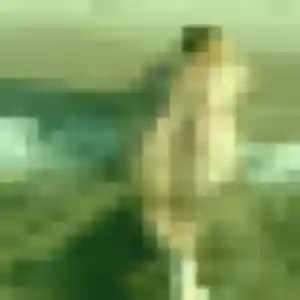 Profil de Brigitte à Drusenheim (52 ans) - rencontre cougar gratuit