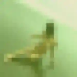 Sexy Fabienne, 51 ans à Duhort-Bachen - découvrir son profil