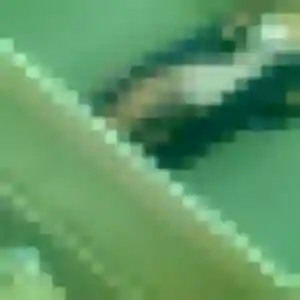 Photo sexy de Valerie, 46 ans à Duran - rencontre sans lendemain
