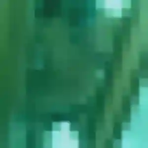 Photo privée de Christine, 54 ans à Écuisses - plan discret