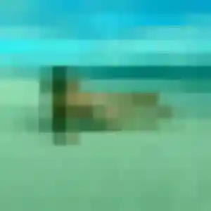 Profil de Marie-Therese à Englos (51 ans) - rencontre cougar gratuit