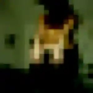 Evelyne, 50 ans, dispo pour rencontre cougar à Enval