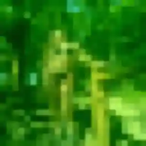 Profil de Genevieve à Ercé-en-Lamée (54 ans) - rencontre cougar discret