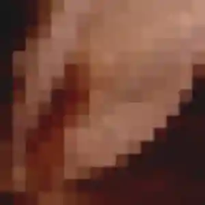 rencontre cougar à Erquinghem-le-Sec : photo de Dominique, 43 ans - inscription gratuite