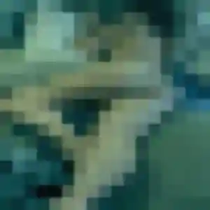 Sexy Carole, 48 ans à Eschbach - la contacter