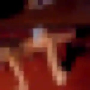 Profil de Severine à Eymet (51 ans) - rencontre cougar gratuit