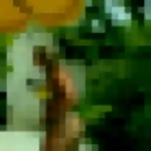 Profil de Beatrice à Fagnières (47 ans) - rencontre cougar gratuit