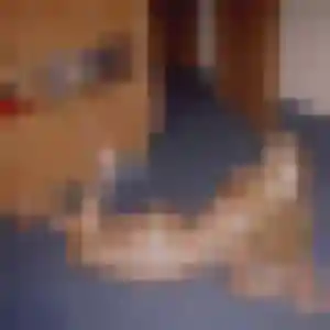 rencontre cougar à Fégréac : photo de Karine, 38 ans - inscription gratuite