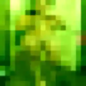 Photo exclusive de Mireille, 48 ans à Fontenay-Saint-Père - rencontre coquine