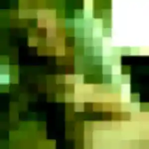 Photo de Elisabeth à Fourques (42 ans) - rencontre cougar gratuit