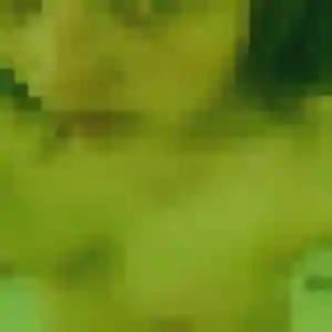 Profil de Lydia à Foussemagne (55 ans) - rencontre cougar gratuit