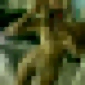 Solange, 49 ans, disponible à Friville-Escarbotin pour une rencontre coquine