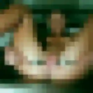 rencontre cougar à Frœningen : photo de Micheline, 35 ans - accès libre