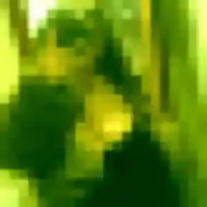 rencontre cougar à Garganvillar : photo de Sylvie, 51 ans - accès libre