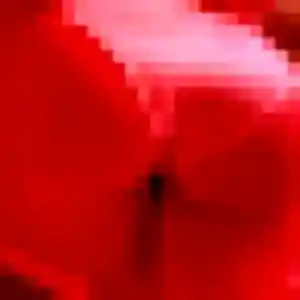 Photo sexy de Delphine, 47 ans à Gavray-sur-Sienne - rencontre coquine