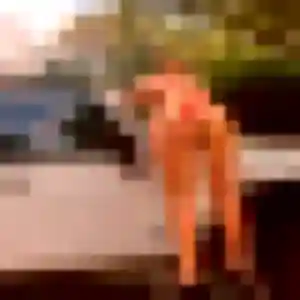 Aurelie, fille de 39 ans veut rencontre cougar à Gemeaux