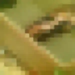 Profil de Valerie à Gentilly (53 ans) - rencontre cougar discret