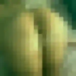Patricia (49 ans) à Gerde propose un rencontre cougar ce soir