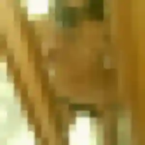 Christine, 54 ans, cherche un rencontre cougar à Germigny-sur-Loire
