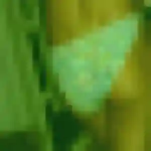 Profil de Viviane à Gillonnay (49 ans) - rencontre cougar anonyme
