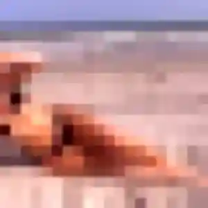 Monique (38 ans) à Glomel cherche un rencontre cougar rapidement