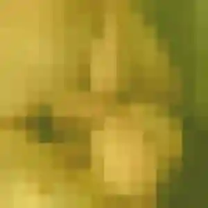 Photo de Sandrine à Goudourville (43 ans) - rencontre cougar gratuit