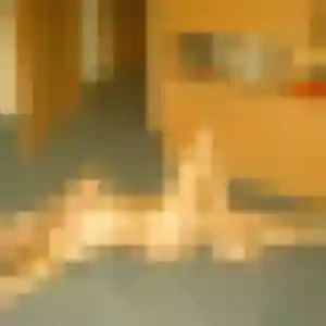 Contacte Stephanie, 35 ans à Gourlizon en privé
