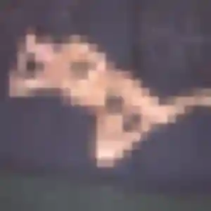 Eliane, 48 ans, disponible à Grand Bourgtheroulde pour un rencontre cougar