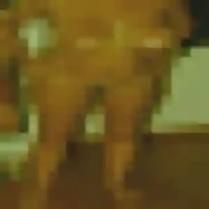 Nicole, 35 ans, disponible à Grenade pour un rencontre cougar